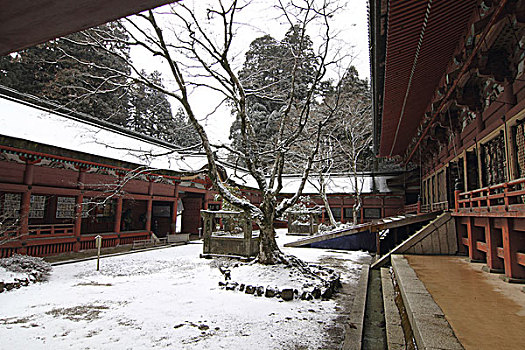 庙宇,京都,马拉松,日本