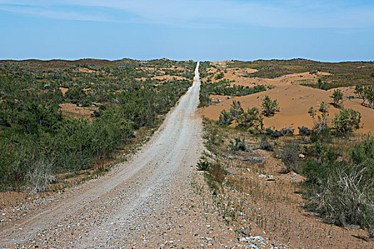 乌兹别克斯坦沙漠公路