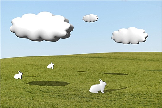 三个,白色,兔子,草地,积云
