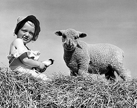 女孩,肖像,坐,旁侧,绵羊,干草