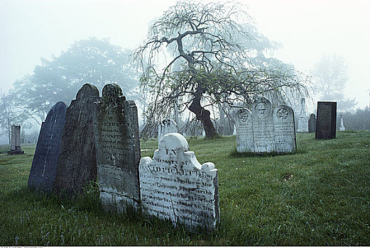 墓地,新布兰斯维克