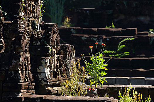 柬埔寨吴哥古城龙蟠水池石塔雕刻