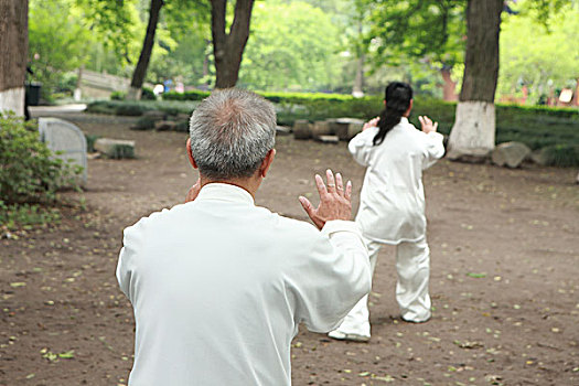 中国人,太极拳,户外