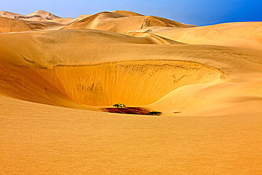 沙丘,靠近,湾,纳米比亚