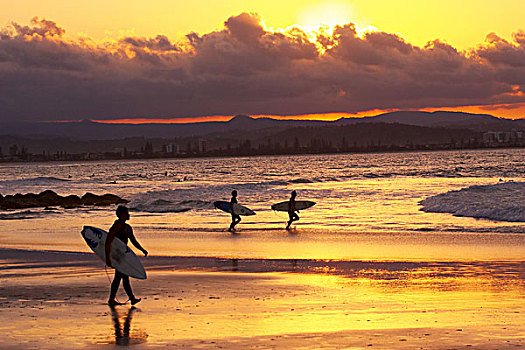冲浪,日落,黄金海岸,昆士兰,澳大利亚
