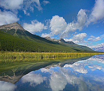 漂亮,溪流,丘吉尔,山脉,碧玉国家公园,艾伯塔省,加拿大