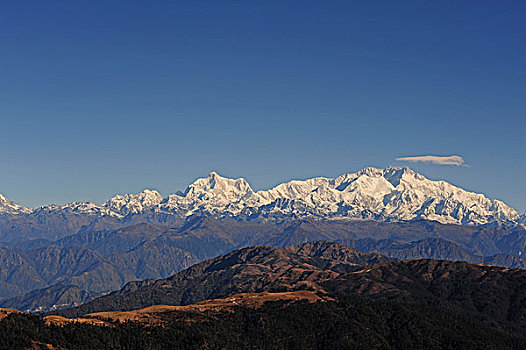 印度,西孟加拉,国家公园,风景,积雪,干城章嘉峰