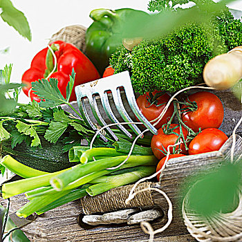 新鲜,蔬菜,厨用线,园艺工具