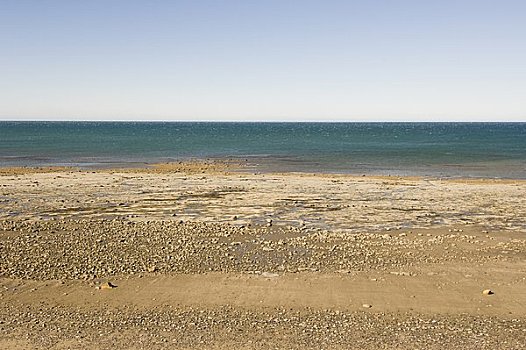 海滩,海洋,金色,湾,新西兰