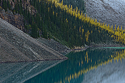 岸边,反射,冰碛湖,山谷,十峰谷,班芙国家公园,艾伯塔省,加拿大