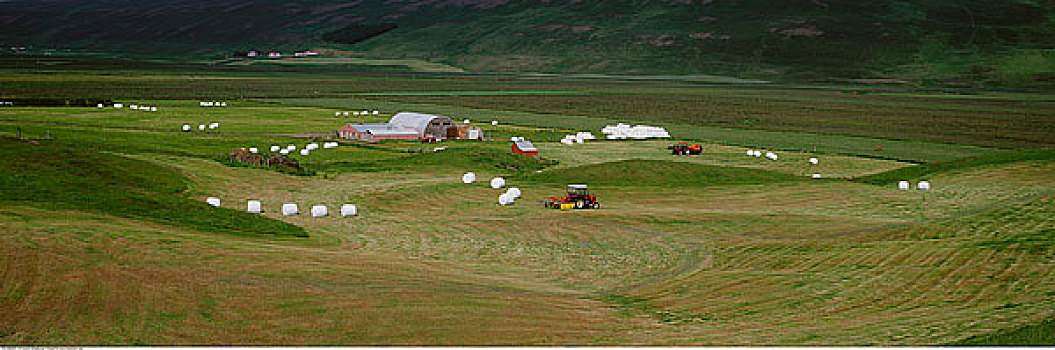 大捆,干草,地点,冰岛