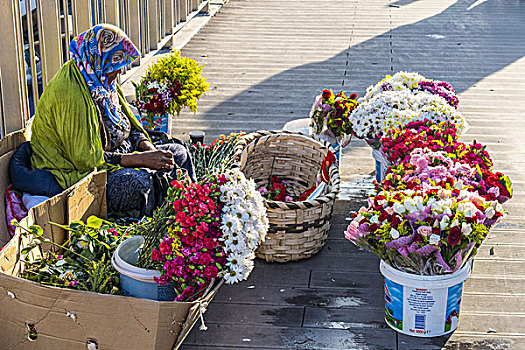 花,摊贩,伊斯坦布尔,土耳其