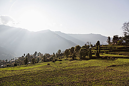 晴朗,平和,风景,北阿坎德邦,喜玛拉雅,山麓