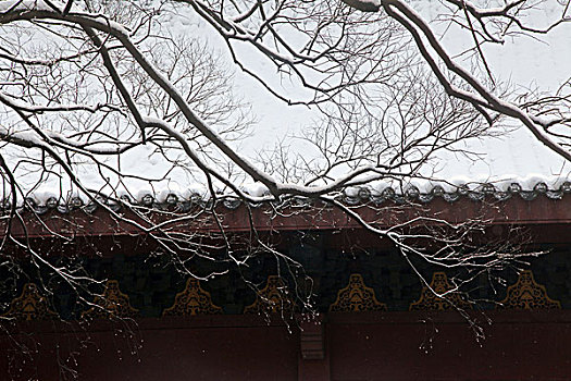 杭州,西湖,建筑,灵隐寺,寺庙,雪,宗教,佛教,僧人,塑像,信仰,文化,旅游,飞来峰