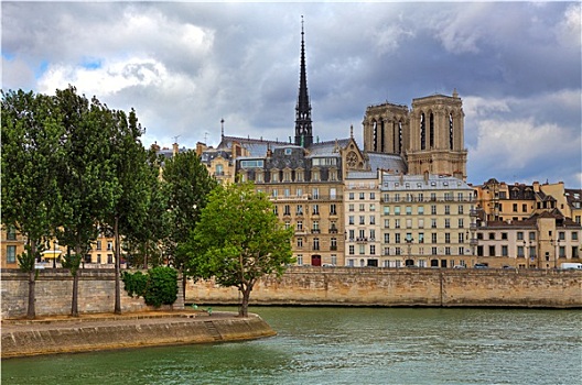 女人,巴黎,大教堂,特色,建筑,塞纳河,法国