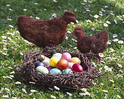 复活节彩蛋,鸟窝,鸡肉,草地