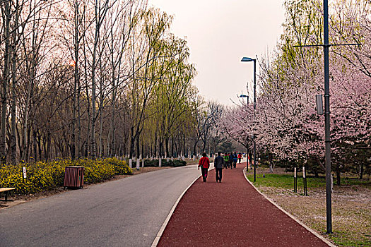 北京奥林匹克公园