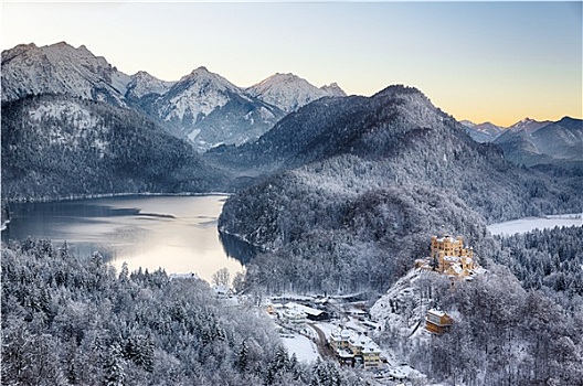 旧天鹅堡,城堡,冬天,阿尔卑斯山,德国