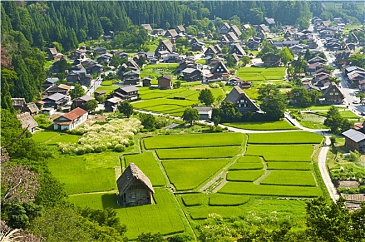 扇町,乡村