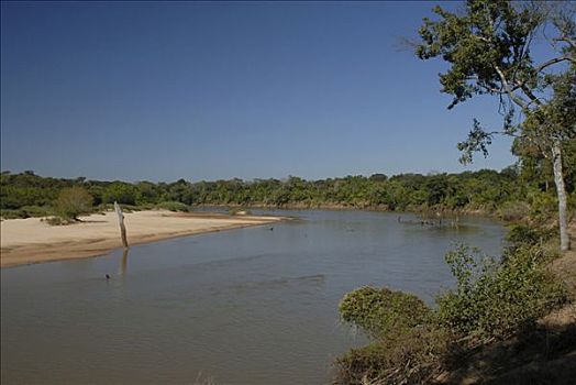安静,河,雨林,巴拉圭