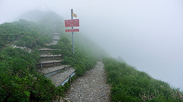 山,小路,警告标识,山脉,瑞士,欧洲