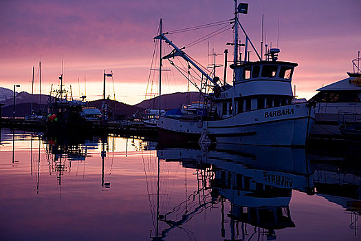 日落,彩色,反射,平静,水,港口,靠近,东南阿拉斯加,冬天