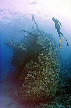 潜水,失事船舶,红海,埃及,非洲