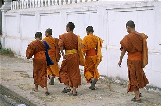 街景,新手,僧侣,琅勃拉邦,老挝