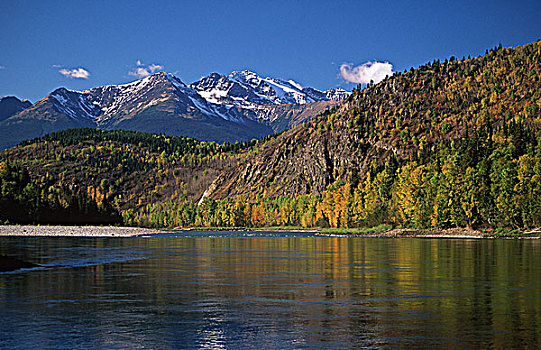 河,金色,树,山峦,不列颠哥伦比亚省,加拿大