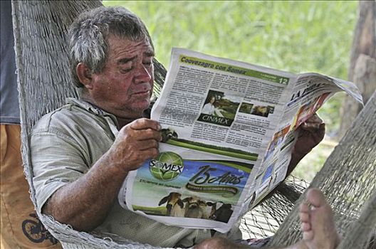 男人,读,报纸,吊床,哥伦比亚,南美