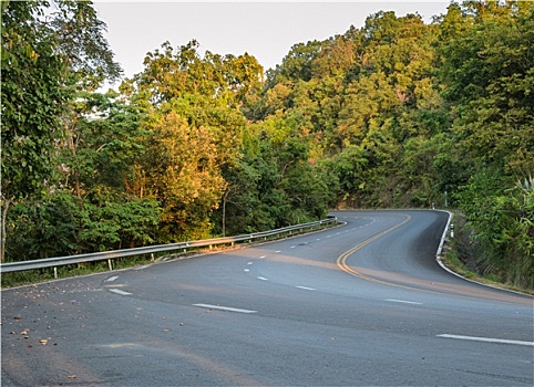 乡村,弯曲,道路