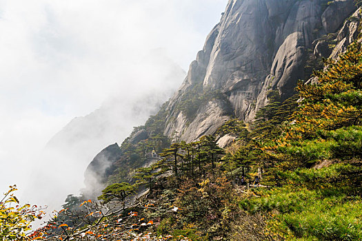 中国安徽黄山自然风光