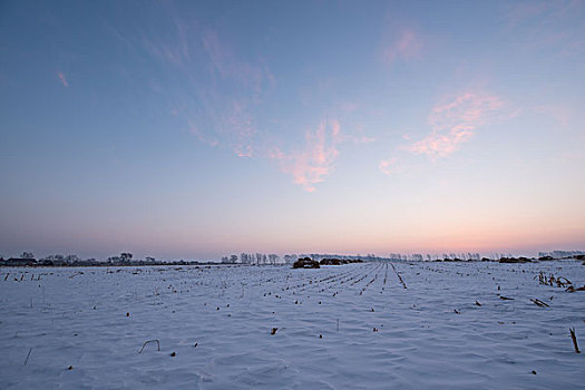 雪覆盖的农田