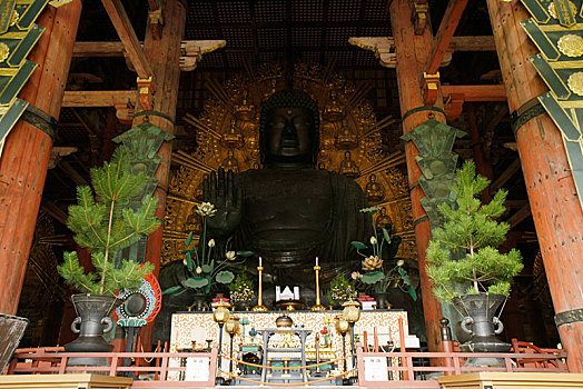 日本,奈良,东大寺