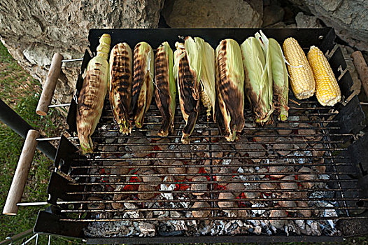 老玉米,烧烤,发光,木碳,正面,德国,欧洲