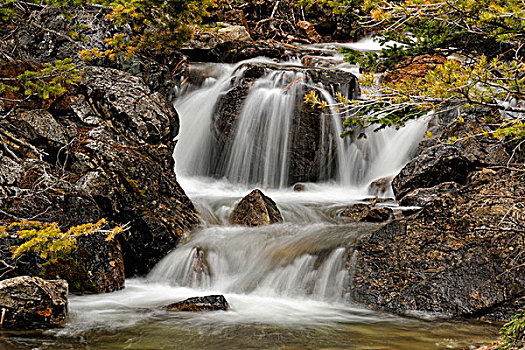 隐藏,瀑布,河,峡谷,瓦特顿湖国家公园,艾伯塔省,加拿大