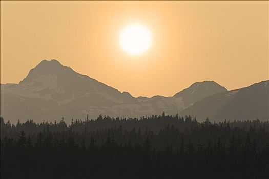 太阳,上方,奇尔卡特山脉,树林,阿拉斯加