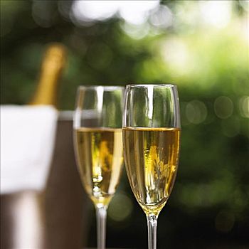 香檳,香檳酒杯