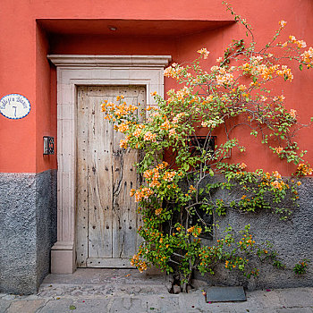 墨西哥,圣米格尔,彩色,入口,画廊