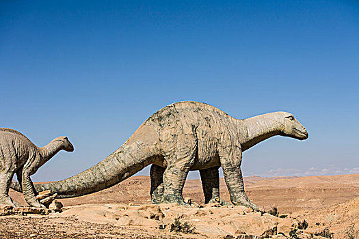 恐龙,沙漠