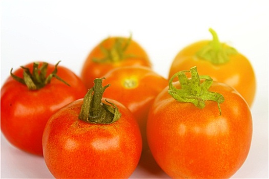 新鲜,西红柿,隔绝,白色背景,背景