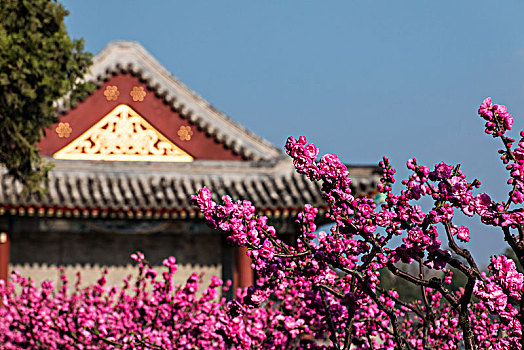 北京市海棠花卉古建景观