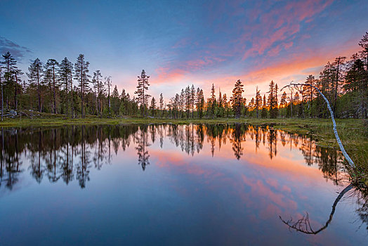 日落,橙色,云,树,反射,湖,芬兰,欧洲
