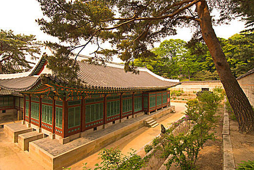 昌德宫,秘密花园,首尔,韩国