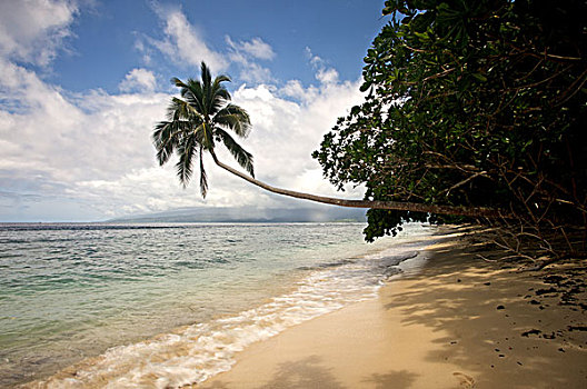 棕榈海滩,斐济群岛,斐济,南太平洋,大洋洲