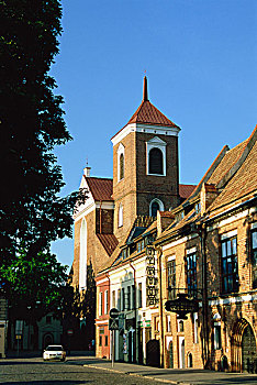 考纳斯,大教堂,市政厅,立陶宛