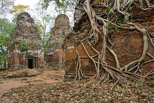 柬埔寨婴儿车寺