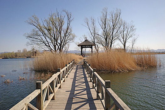 延庆野鸭湖