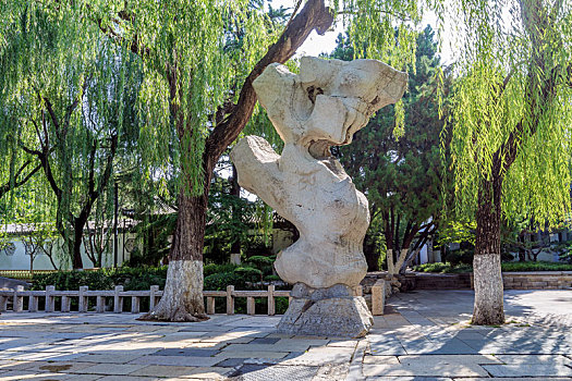 济南趵突泉景区内柳树下的景观石