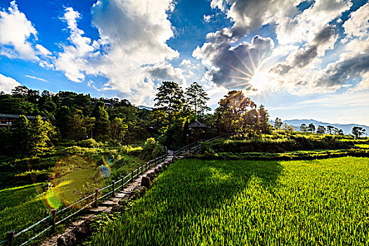 南岗排瑶寨自然风景